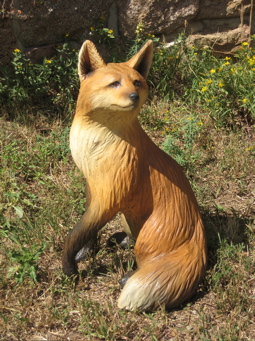 [Sitting Fox]
