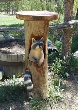 [Raccoon in Table]