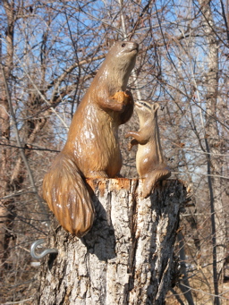 [Ground Squirrel]